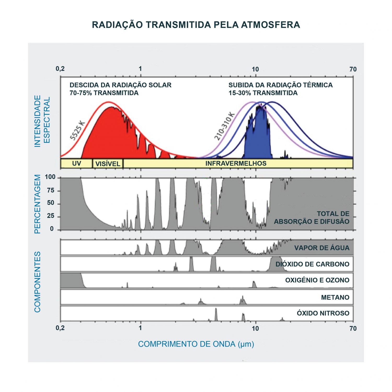 Radiação transmitida pela atmosfera e percentagem de radiação absorvida pelos constituintes principais da atmosfera. As setas verdes mostram as janelas atmosféricas usadas para a deteção remota no infravermelho. Os comprimentos de onda da radiação no infravermelho térmico situam-se entre 3 e 14 micrómetros. Como se pode ver na figura, nesta zona do espectro há constituintes atmosféricos que absorvem parte da radiação emitida pela superfície do mar e ao mesmo tempo emitem radiação. No entanto, a radiação emitida por aqueles constituintes corresponde a uma temperatura mais baixa pois a atmosfera está a temperaturas mais baixas que a superfície do mar e portanto a radiação que emitem terá um máximo desviado para maiores comprimentos de onda. Ao passar através da atmosfera o sinal emitido pelo oceano é atenuado. Os diferentes constituintes atmosféricos absorvem diferentes percentagens da radiação infravermelha emitida pela superfície do mar, sendo os principais absorventes o vapor de água, o ozono e o dióxido de carbono. Assim, na região do infravermelho térmico existem duas janelas usadas para a deteção remota, a primeira localizada entre 3,5 e 4,1 e a segunda entre 10,0 e 12,5 micrómetros. Nenhuma é completamente transparente já que os constituintes atmosféricos, o vapor de água em particular, irão absorver parcialmente o sinal emitido pela superfície do mar, aumentando a diferença entre a Temperatura de Brilho - TB medida no sensor e a verdadeira Temperatura da Superfície do Mar - TSM. A utilização deste ficheiro é regulada nos termos da licença Creative Commons Attribution 4.0 (CC BY-NC-ND 4.0, https://creativecommons.org/licenses/by-nc-nd/4.0/) 