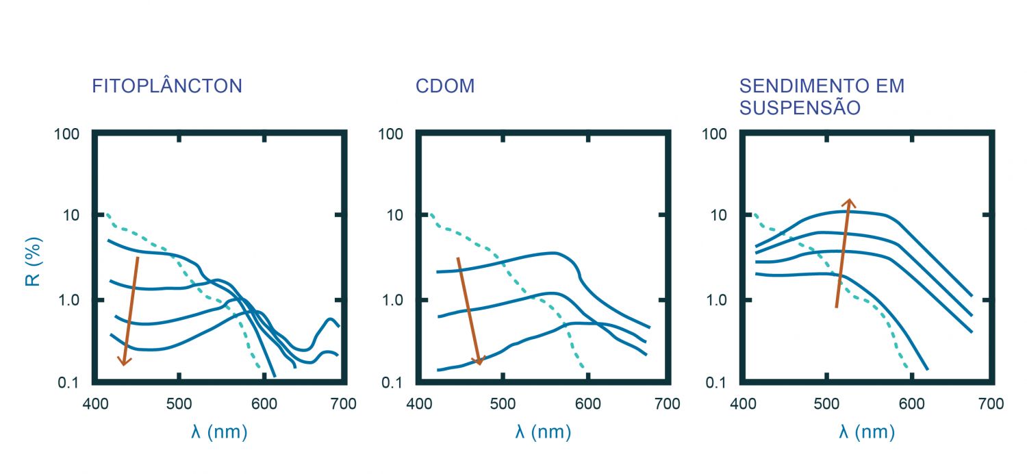 Espectro (linha sólida) idealizado de refletância de: A) fitoplâncton; B) matéria orgânica dissolvida, também designada de substância amarela (CDOM, do inglês coloured dissolved organic matter); e C) sedimento em suspensão (SPM, do inglês suspended particulate matter). A linha a tracejado representa o espectro da água pura. A seta indica o aumento de concentração do constituinte em questão (adaptado de Robinson, 2004). A determinação dos constituintes oceânicos por deteção remota é feita com base na alteração da assinatura espectral da água do mar pura. Assim, o espectro da água do mar pura serve como base para se determinar a presença destas partículas já que a radiação emitida irá ser alterada com a presença dos vários constituintes. Os constituintes opticamente ativos podem ser agrupados, de acordo com a forma espectral, nos três grupos ilustrados em A, B e C. A utilização deste ficheiro é regulada nos termos da licença Creative Commons Attribution 4.0 (CC BY-NC-ND 4.0, https://creativecommons.org/licenses/by-nc-nd/4.0/) 