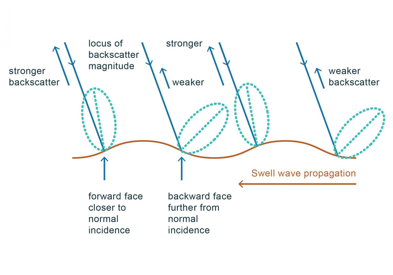 Esquema da modelação por inclinação. A intensidade do sinal retrodifundido é tanto maior quanto menor for o ângulo entre a direção de incidência e a normal à superfície (adaptado de Robinson, 2004).As ondas oceânicas também podem ter uma assinatura nas imagens SAR através dos processos de modelação hidrodinâmica ou por inclinação. A assinatura de ondas oceânicas depende da escala das ondas. As mais pequenas, a chamada rugosidade da superfície ou ondas de capilaridade, são necessárias para a criação de uma imagem SAR. Ondas com maior escala, as chamadas ondas de superfície, são geradas pelo vento, pelo que têm direção de propagação alinhada com a do vento. Poderão ter uma assinatura nas imagens SAR caso se propaguem numa direção que tenha componente na direção de alcance. A assinatura destas ondas de maior escala pode ser criada por modelação por inclinação da superfície. Neste caso a passagem das ondas irá provocar uma inclinação da superfície que irá modular a intensidade do eco, sendo que a intensidade do sinal retrodifundido aumenta com a diminuição do ângulo de incidência, i.e., quando o ângulo de incidência da radiação está próxima da perpendicular à superfície do mar. Como se pode ver no esquema da figura quanto menor o ângulo (theta), maior a intensidade do sinal retrodifundido, o que acontece na face da onda mais próxima do sensor. Assim, ondas capazes de gerar este tipo de assinaturas são visíveis em imagens SAR como linhas alternadamente mais claras e mais escuras. Este tipo de modulação não depende da rugosidade da superfície do mar, podendo gerar uma assinatura em imagens SAR mesmo com ausência de vento. É por esta razão que é possível retirar de uma imagem SAR informação do campo de agitação marítima ou swell. A utilização deste ficheiro é regulada nos termos da licença Creative Commons Attribution 4.0 (CC BY-NC-ND 4.0, https://creativecommons.org/licenses/by-nc-nd/4.0/)